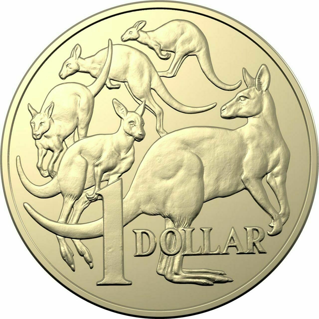 2019 $1 IRB Five Kangaroos design Lightly Circulated (10.7m Mintage)