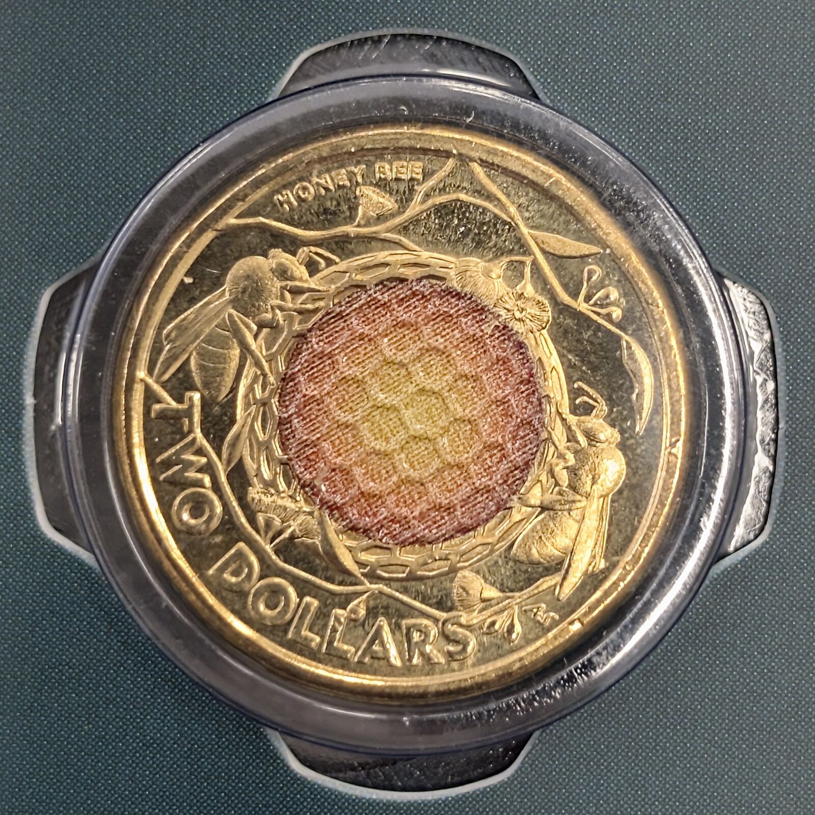 $2 2023 Honey Bee 35th Anniversary NEW Un-Circulated Coloured AUS TWO DOLLAR Coi