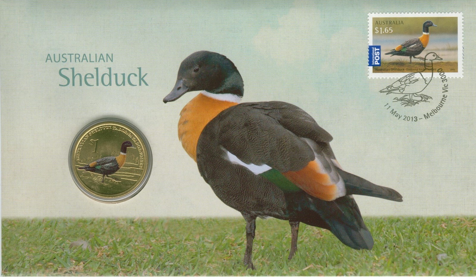 $1 PNC 2013 Australian Shelduck Aus One Dollar Coin